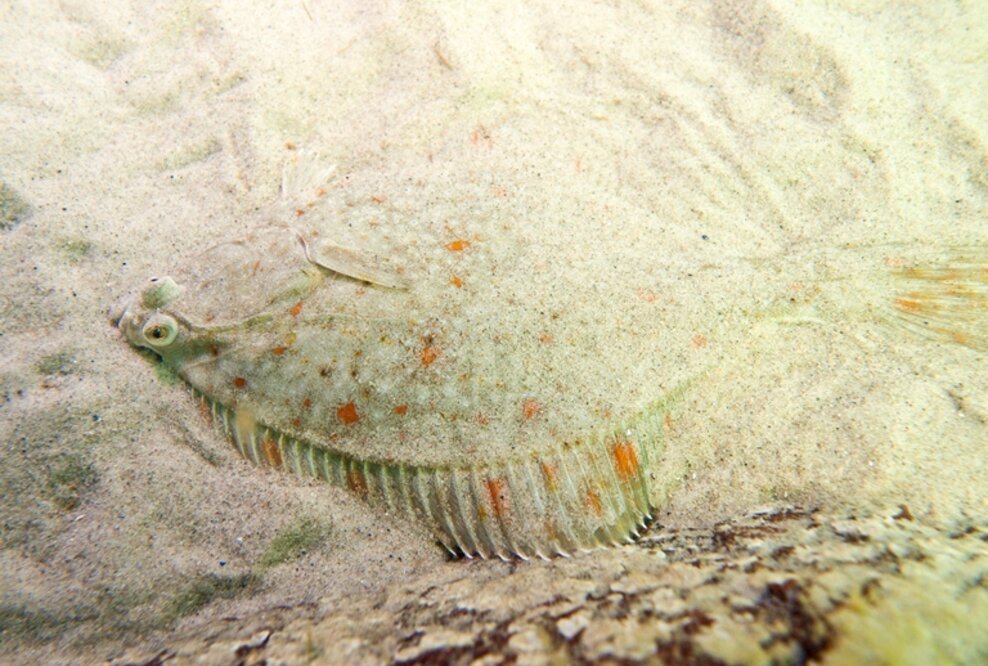 Fotoausstellung „Ostsee – Im Netz und unter Wasser“ auf dem Traditionsschiff