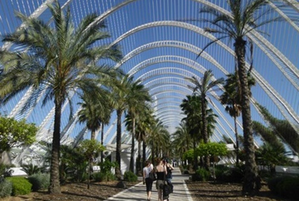 Auftakt zu einer tollen Zeit in einer Spanisch-Sprachschule in Valencia