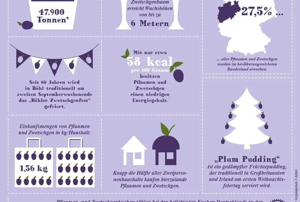 Infografik – Pflaumen und Zwetschgen: Jetzt wird es fruchtig