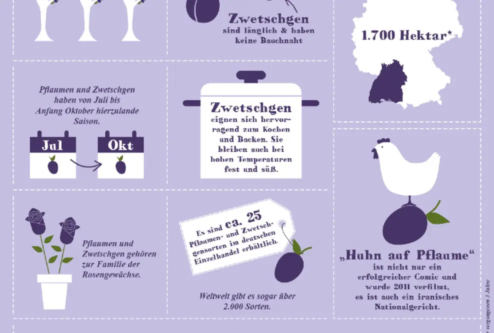 Infografik – Die Pflaumen- und Zwetschgensaison ist im vollen Gange