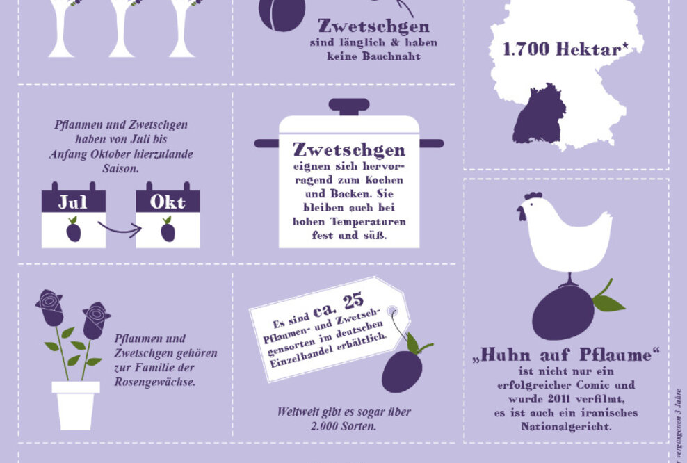 Infografik – Die Pflaumen- und Zwetschgensaison ist im vollen Gange