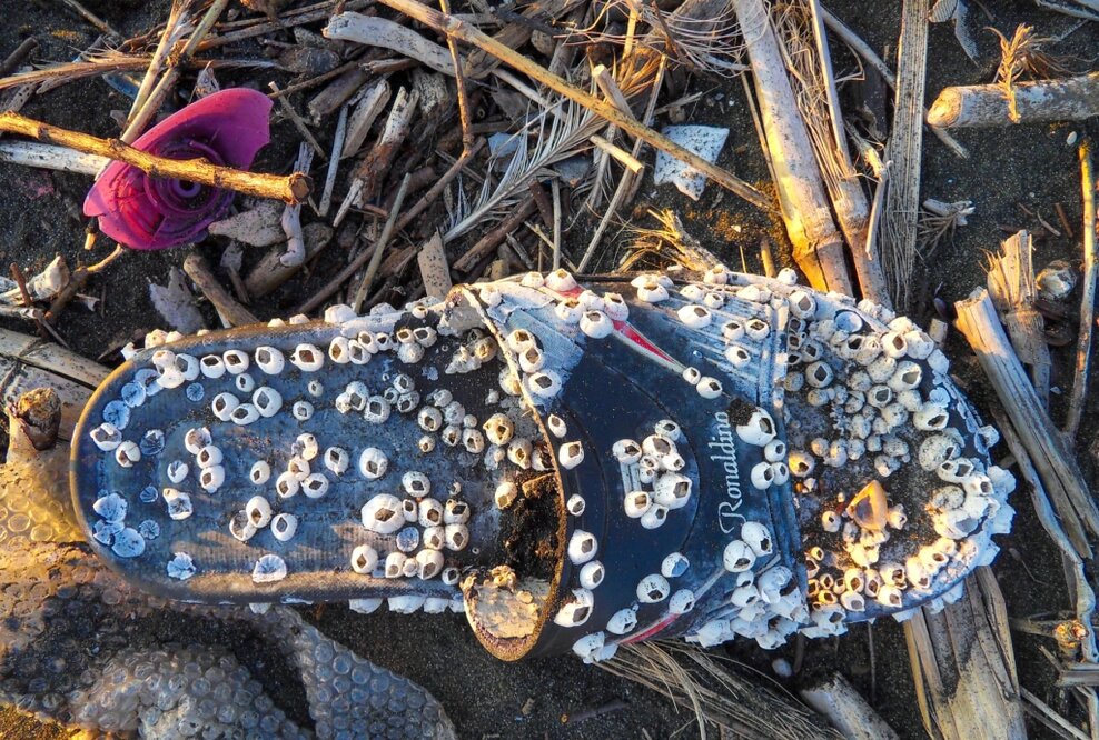 „Film den Müll raus” - offizieller Start des europaweiten MARLISCO Videowettbewerbes!