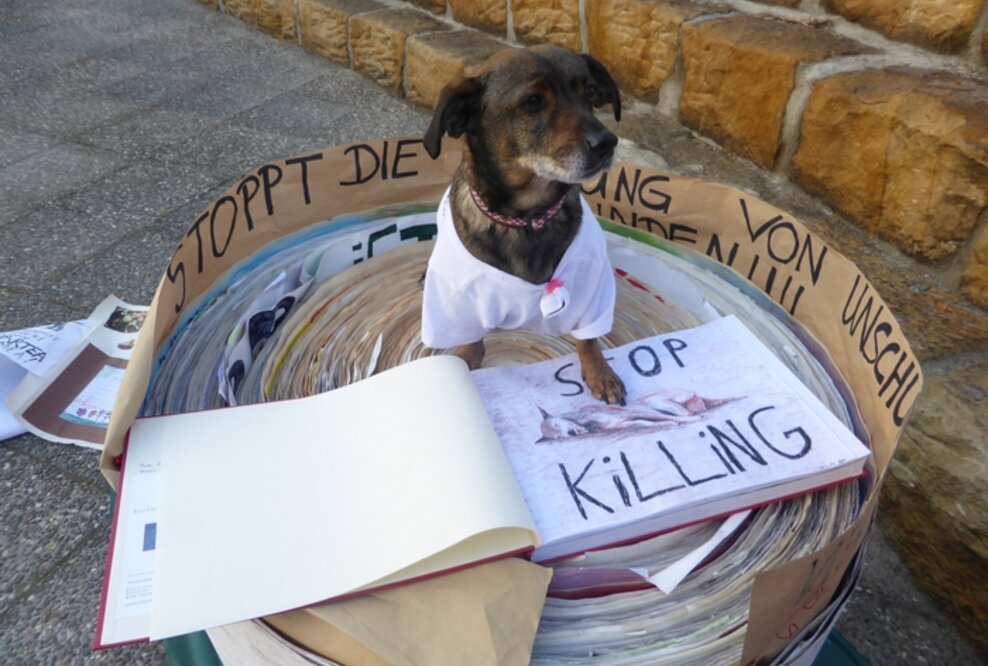 Großer Erfolg für die Aktion „Kinder für Straßenhunde“.