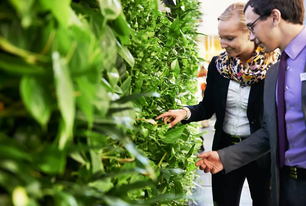 Lifestyle 2014, aber nachhaltig:&nbsp;hydroflora entwickelt vertikale Fensterbänke mit Wohlfühlfaktor