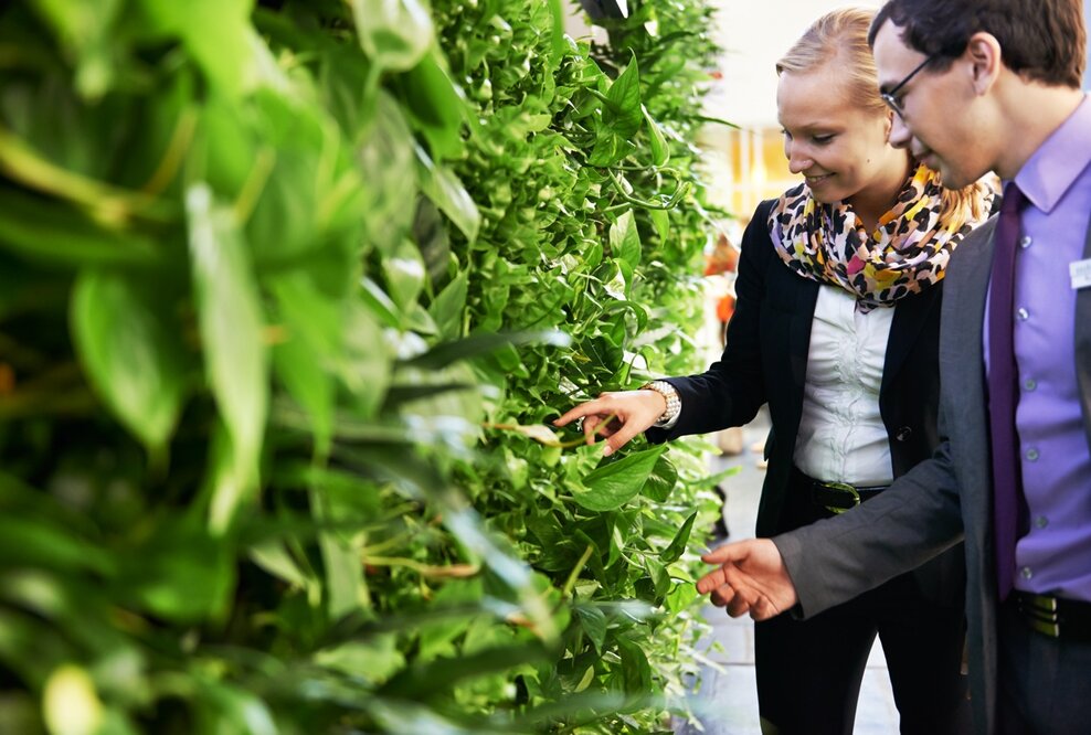Lifestyle 2014, aber nachhaltig: hydroflora entwickelt vertikale Fensterbänke mit Wohlfühlfaktor