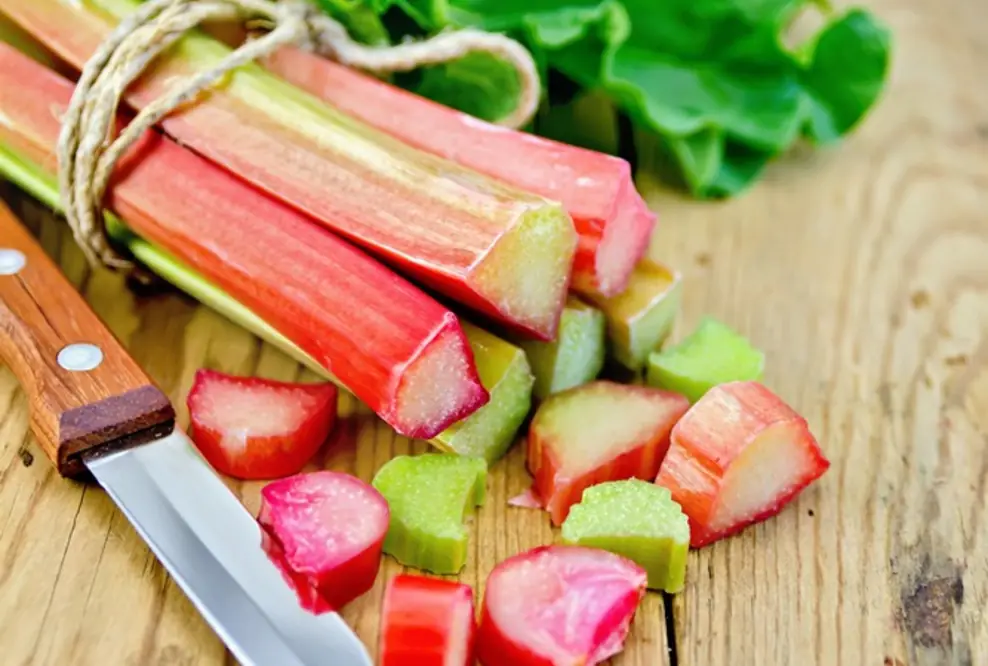 Saisontipp: Rhabarber kochen