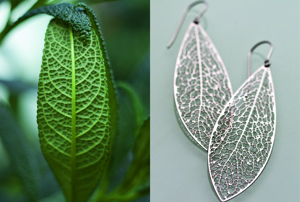 "Eine echte Neuheit"