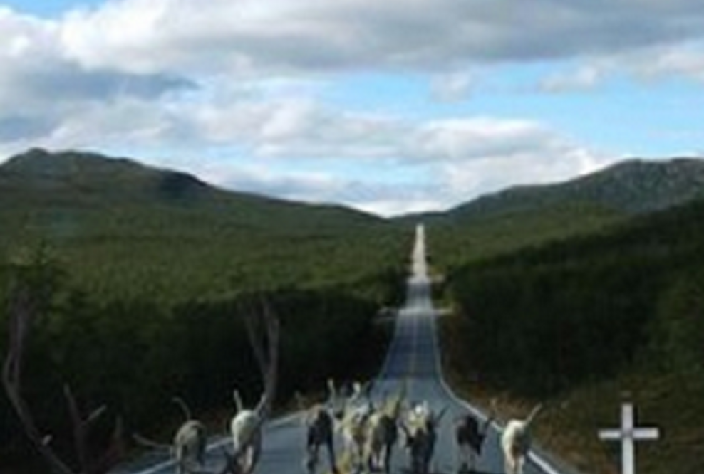 Steigen Sie ein zu "Pilluralli", dem neuen Lappland-Roman von Mikki H.