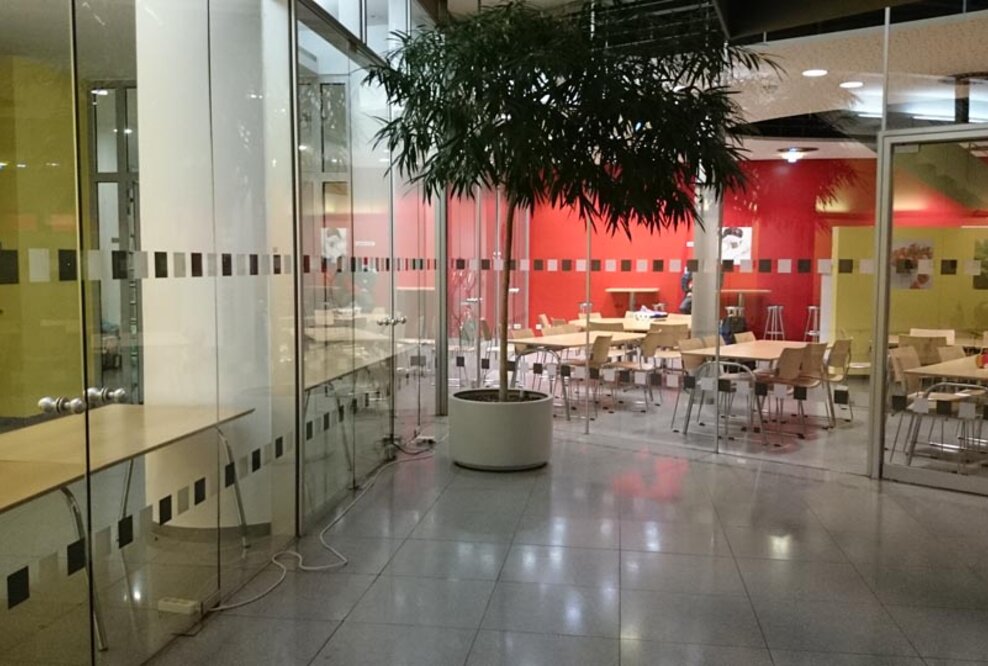 Bonner Start-Ups inclusion und Druckwelle kooperieren bei der barrierefreien Markierung von Glasflächen