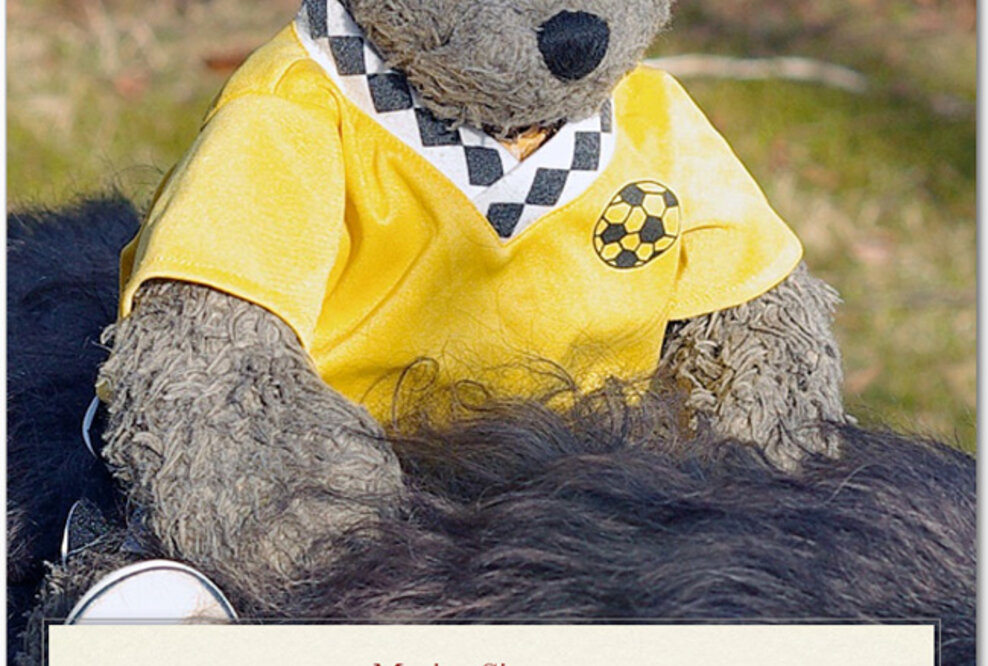 Moritz Sinasson: Teddybär schreibt zweites Kinderbuch