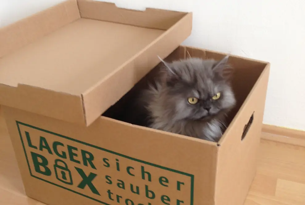 Einen Lagerraum mieten in Berlin mit LAGERBOX wird zur Expansionsangelegenheit