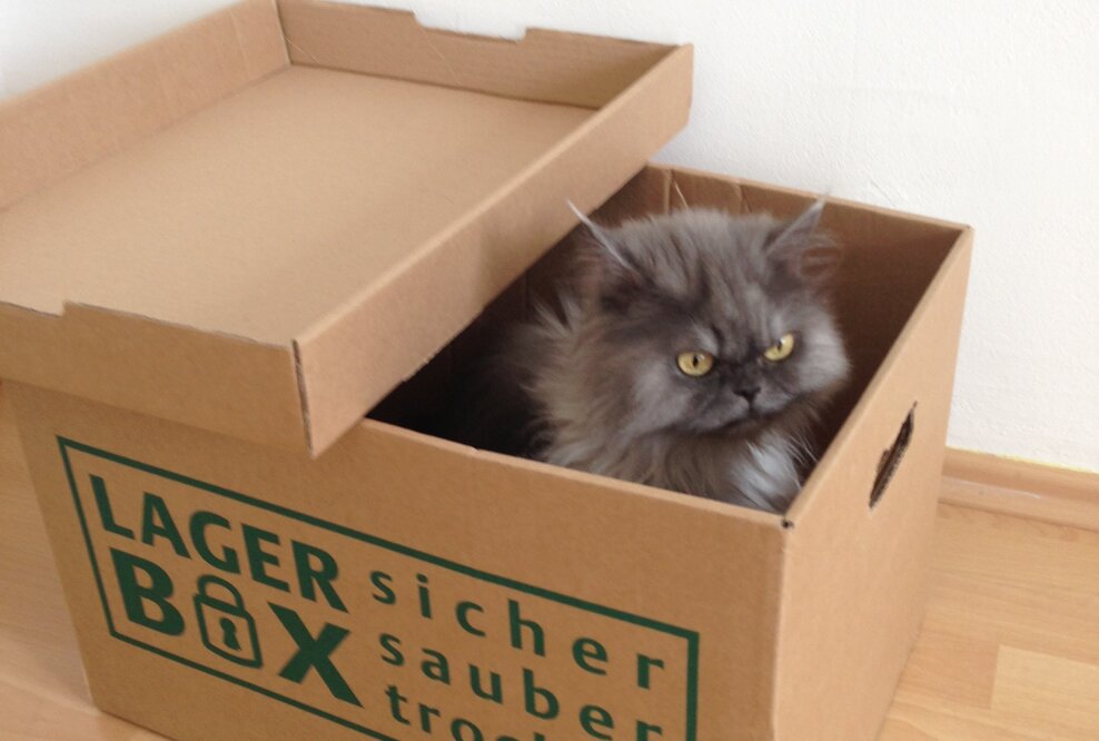 Einen Lagerraum mieten in Berlin mit LAGERBOX wird zur Expansionsangelegenheit