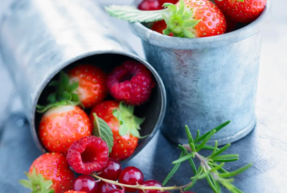 Bildagenturen-Markt: Foodbild-Agenturen StockFood und PhotoCuisine vereinbaren Zusammenarbeit