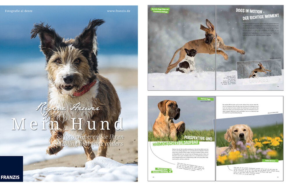 Franzis Tierfotobuch - Mein Hund - So fotografieren Sie Ihren Liebling mal ganz anders