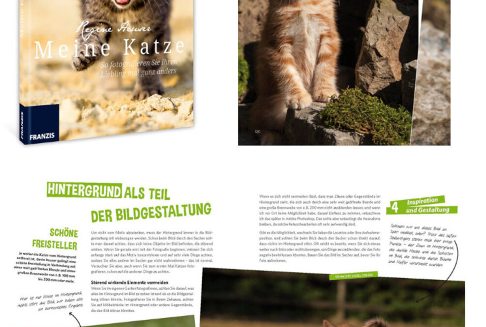 Franzis Tierfotobuch - Meine Katze - So fotografieren Sie Ihren Liebling mal ganz anders