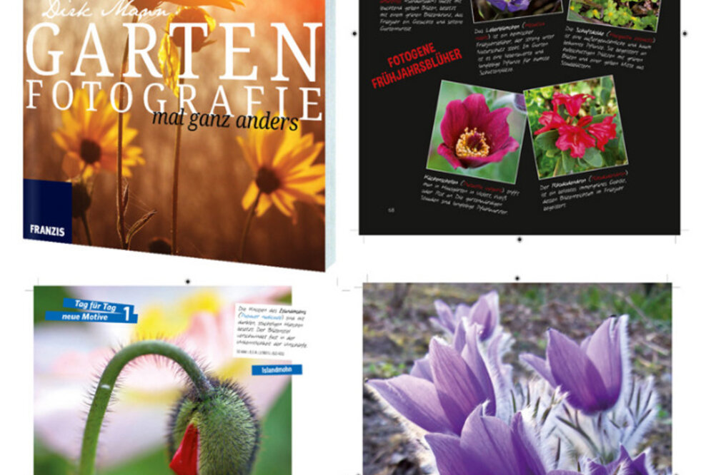 “Gartenfotografie - mal ganz anders” – Fotobuch mit dem grünen Daumen für's Bild