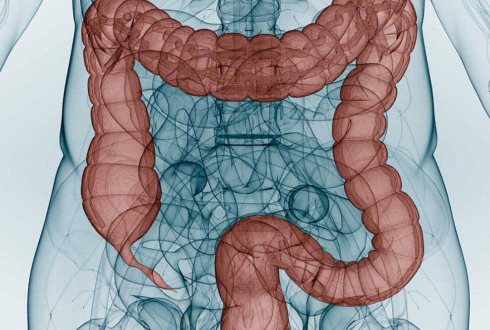 Gesunder Darm, gesundes Leben - Am 21.03. ist Darmkrebs-Präventionstag in den Düsseldorfer Schadow Arkaden