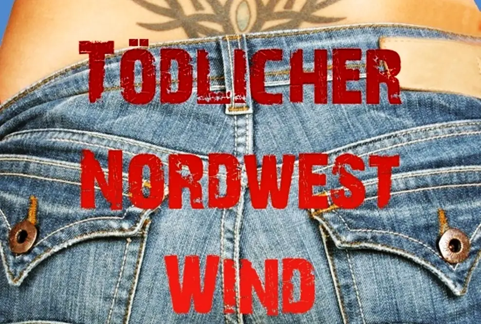 Lene Levi: Tödlicher Norwestwind / Kriminalroman