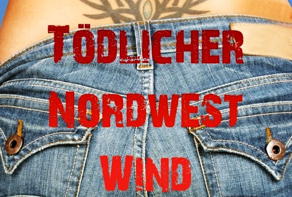 Lene Levi: Tödlicher Norwestwind / Kriminalroman