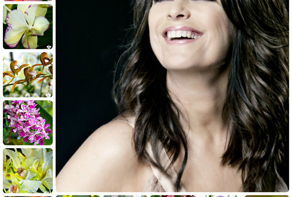 Orchideen im März mit Unterstützung durch Musical Star