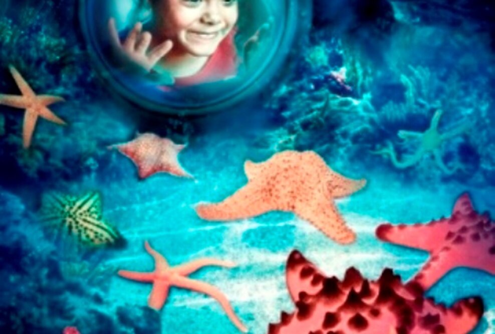 Typisch zum Ferienstart: Lange Schlangen auf der Autobahn