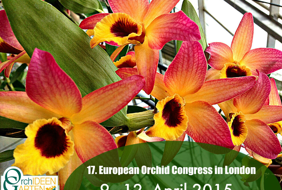 17. Europäische Orchideen Show & Konferenz vom 9. - 12. April 2015 in London mit Adel aus Niedersachsen