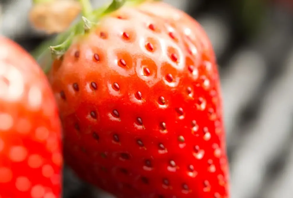 Obst der Saison: Erdbeeren – Inhaltsstoffe, die gut tun