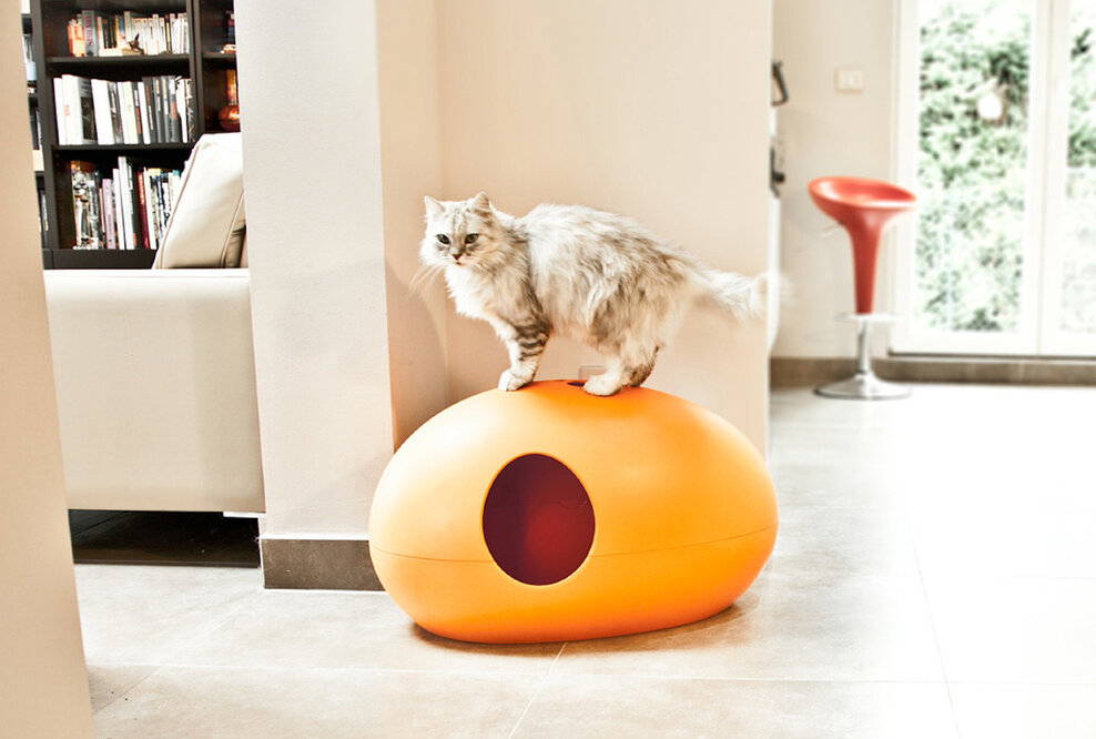 Stillvolles Wohnen mit Katzen-Designmöbeln