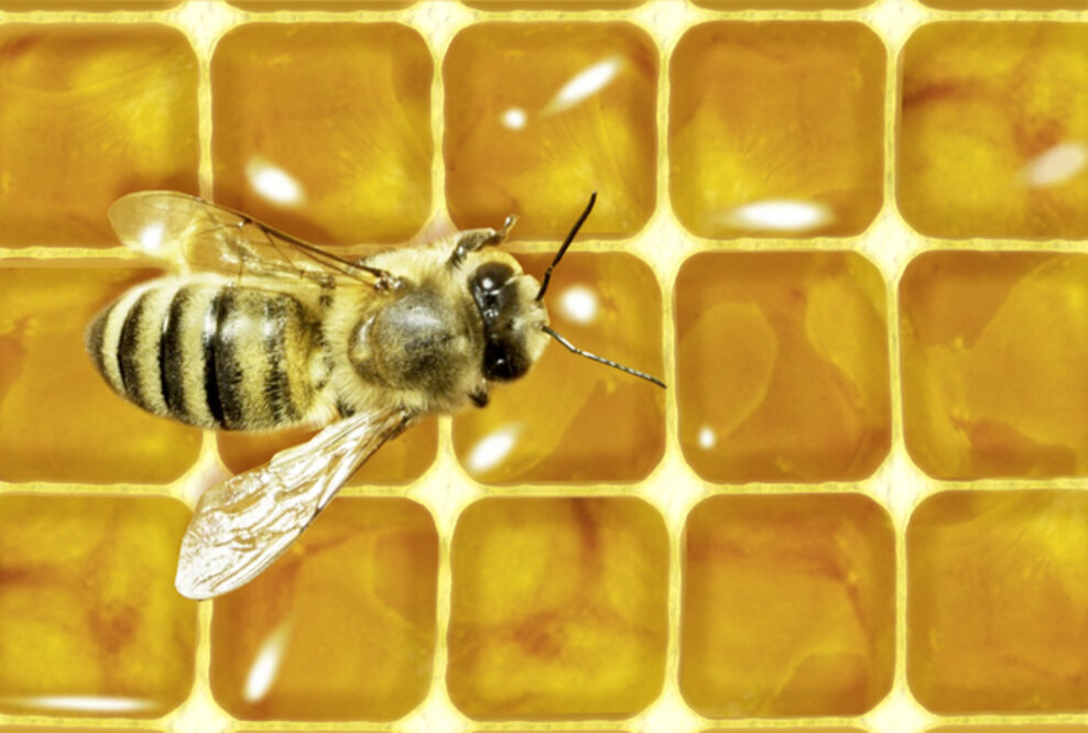 Die Form rettet die Welt - Intelligentes Design statt sinnloser Müllproduktion