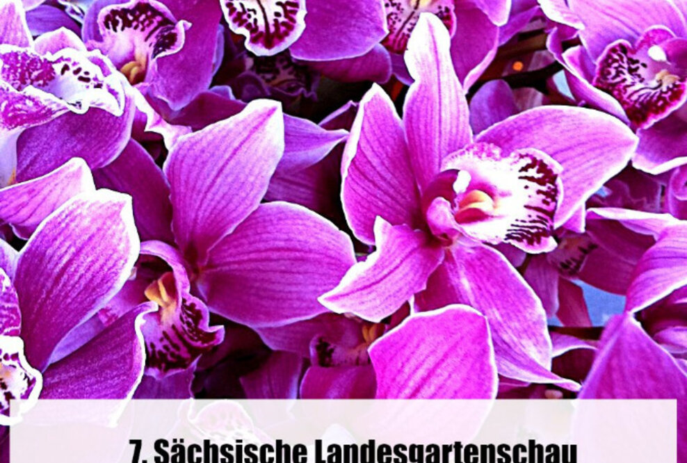 Landesgartenschau in Oelsnitz mit der Hallenschau - Gärtnerische Kostbarkeiten