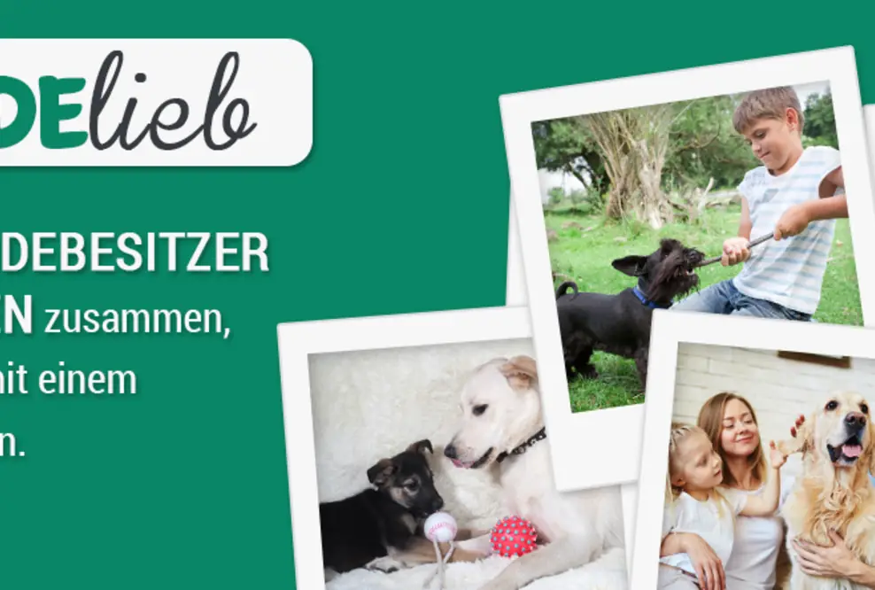 Hunde ausleihen und gleichzeitig Hundebesitzer entlasten