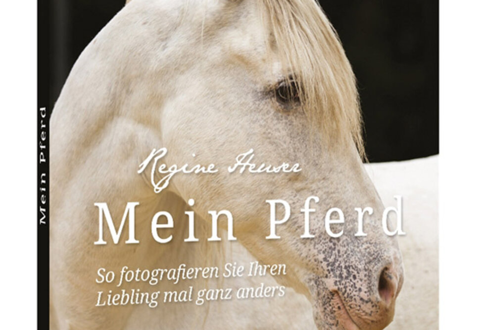 Franzis Tierfotografie - Mein Pferd - So fotografieren Sie Ihren Liebling mal ganz anders