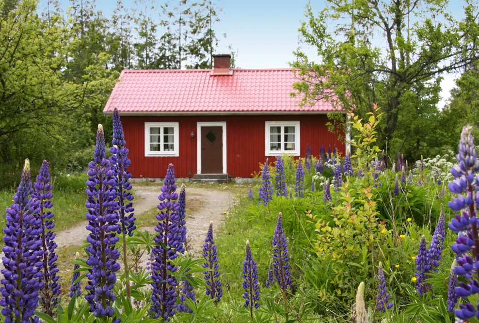 Lastminute ins Ferienhaus nach Skandinavien