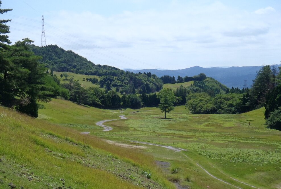 Stillgelegter Golfplatz soll Standort für ein neues 23-Megawatt-Solarkraftwerk von Kyocera TCL Solar LLC werden