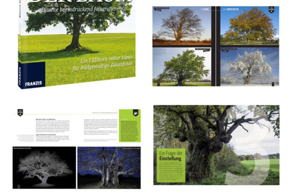 Franzis Fotobuch: Der Baum - Naturfotografie der Faszination des Lebens