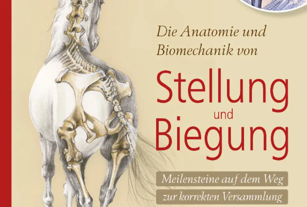 Neuerscheinung von Dr. Gerd Heuschmann: Meilensteine auf dem Weg zur korrekten Versammlung