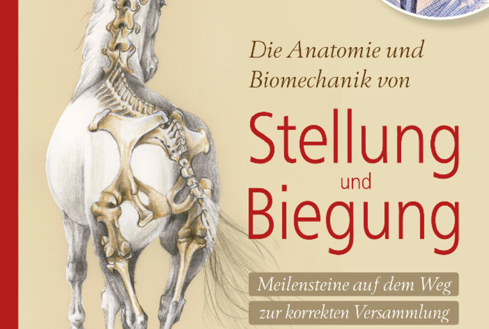 Neuerscheinung von Dr. Gerd Heuschmann: Meilensteine auf dem Weg zur korrekten Versammlung