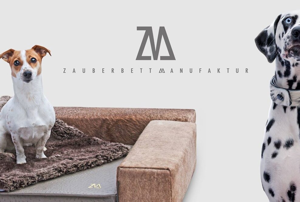 Zauberbett Manufaktur - Innovatives Hundehalsband erobert den Markt