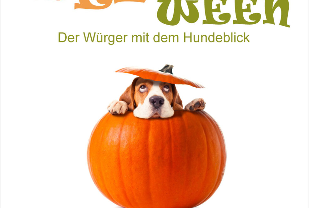 Annego Verlag mit „Belloween“ und „Das wunderbare Weihnachtshörbuch“ auf der Frankfurter Buchmesse