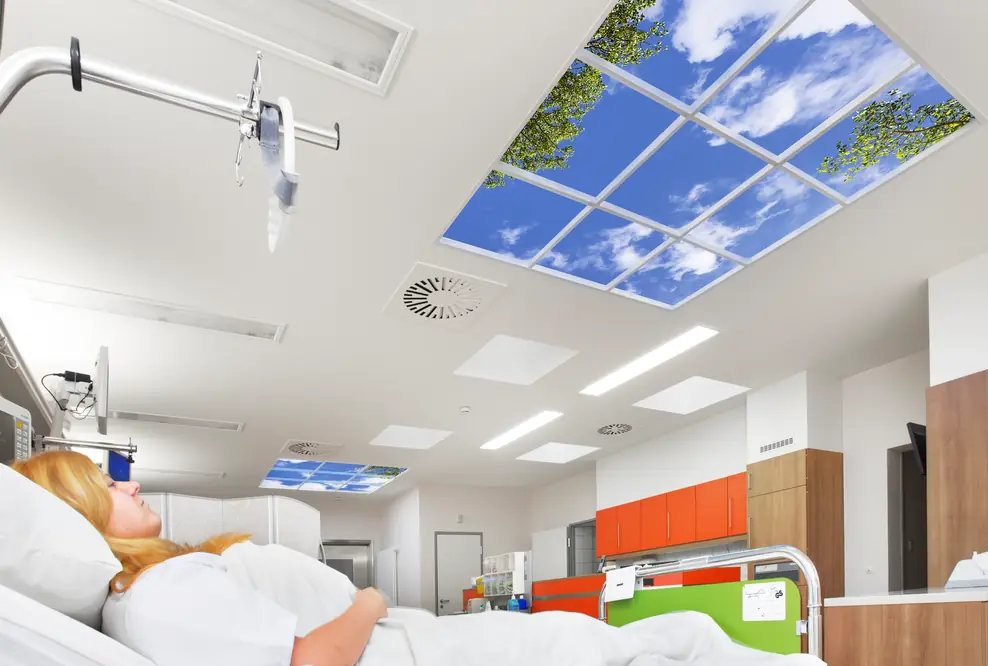 Healing Environment: Blutdrucksenkung dank therapeutischer Wirksamkeit der Natur