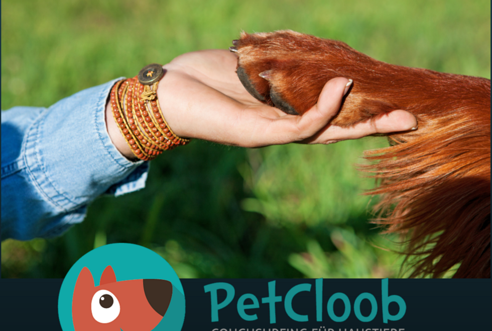 Mit PetCloob kostenlose, liebevolle Tierbetreuung finden