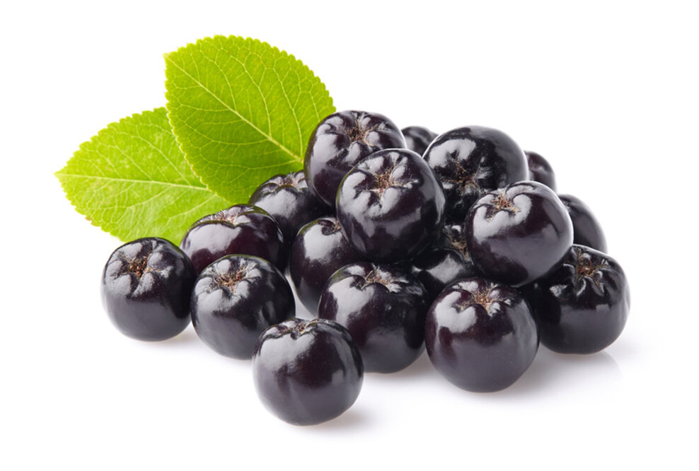 Aroniabeere - die Wunderbeere für ihre Gesundheit