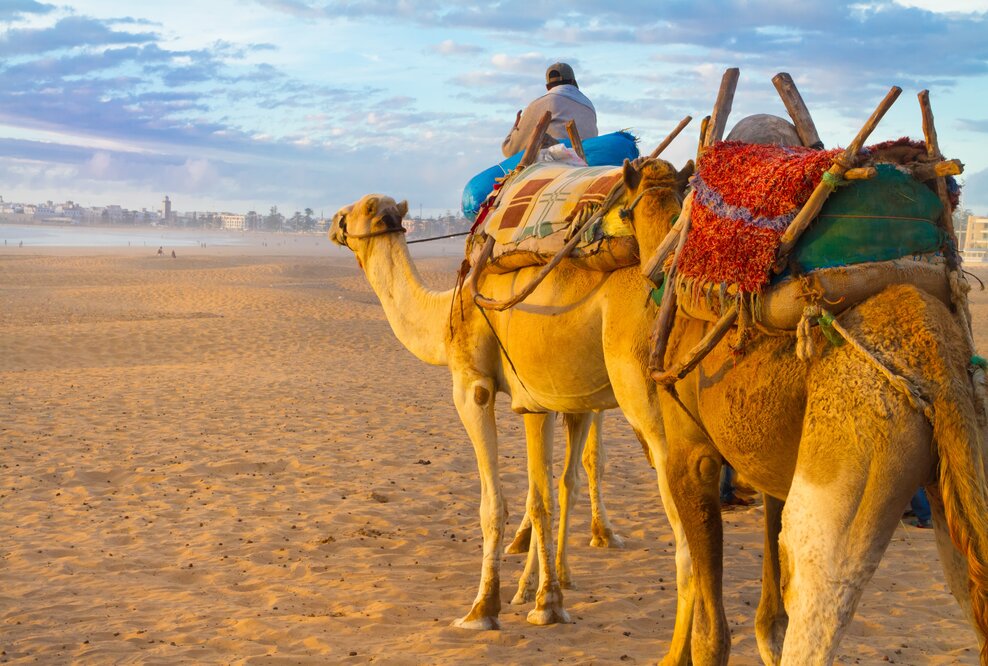 ECCO-Reisen: Neue Marokko Rundreise „Königstädte“ ist ohne Mindestteilnehmerzahl buchbar