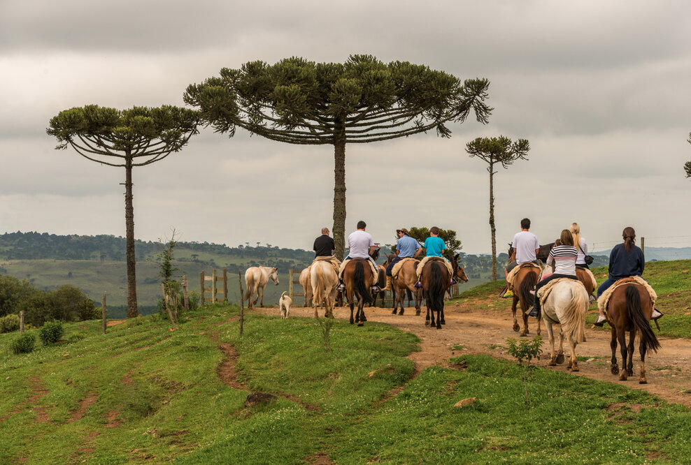 Brasiliens Landleben entdecken - Agrotouristische Angebote erfreuen sich großer Beliebtheit