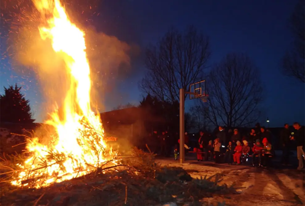 Abschied von Weihnachtsbäumen in Renneritz