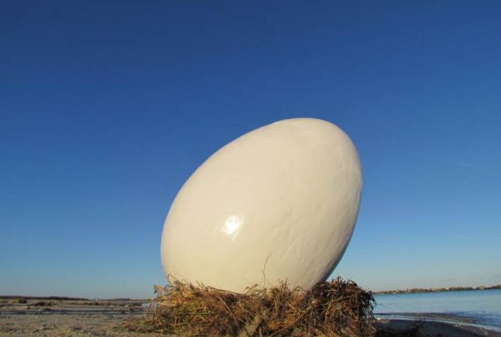 Mysteriöser Riesenei-Fund am Ostseestrand