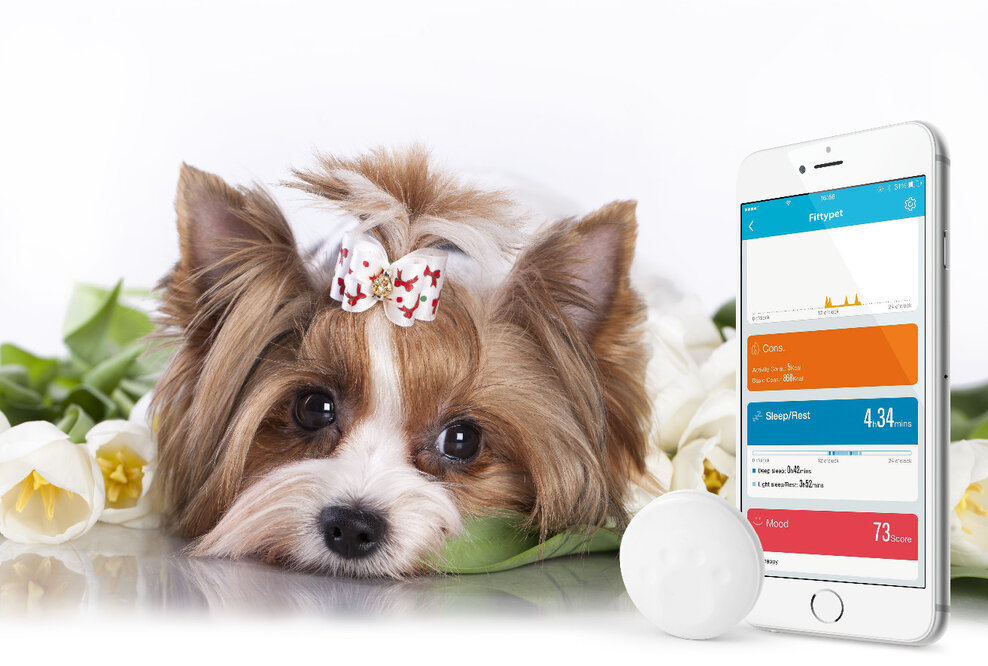 Technaxx Fittypet TX-46. Der Fitnesstracker für den Hund