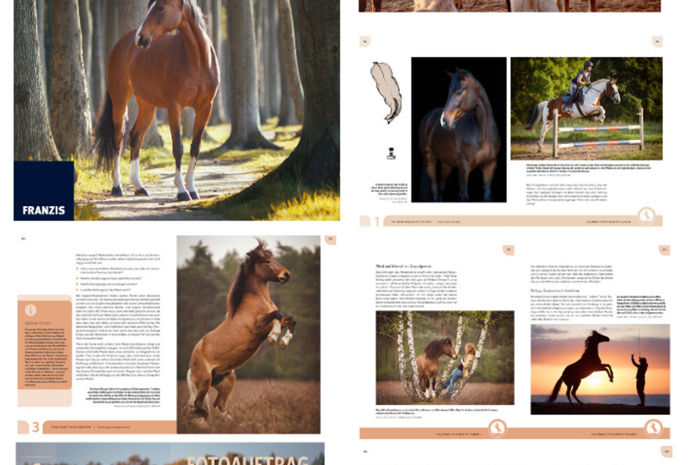 Faszination Pferdefotografie - Schönheit, Stärke, Anmut und Poesie im Bild