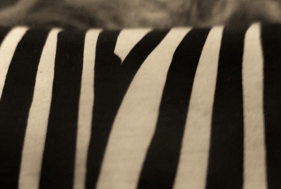 Pulzing Initiative in Berlin gegründet