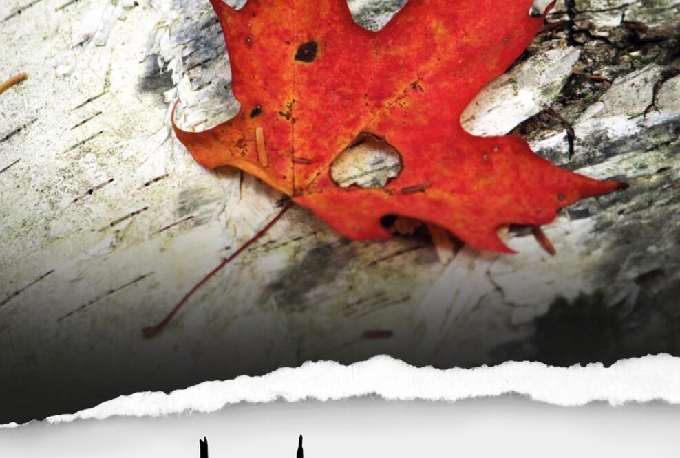 „Ein Leben lang sterben“ von Luis Steiner bei MARTIN BÜHLER Publishing erschienen